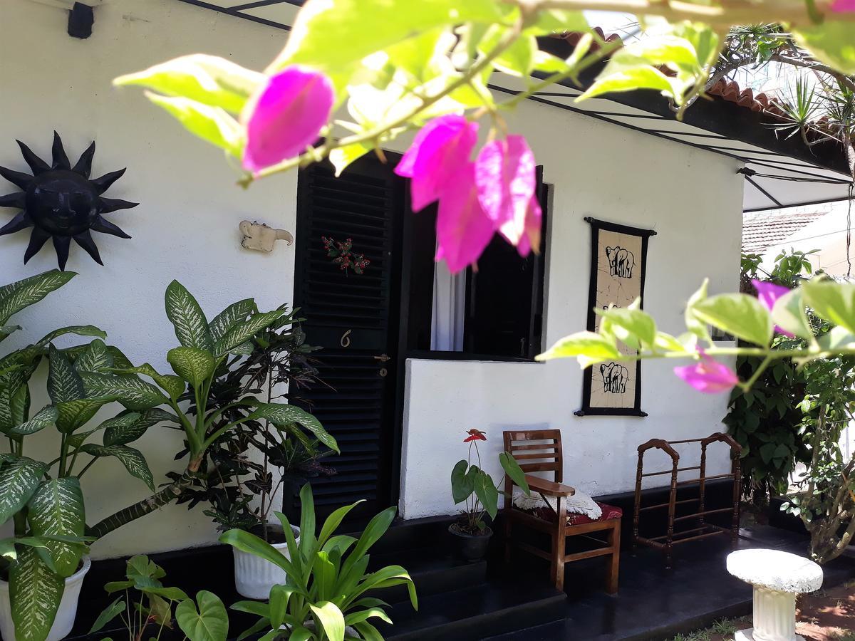 The Icebear Guesthouse Negombo Exterior foto