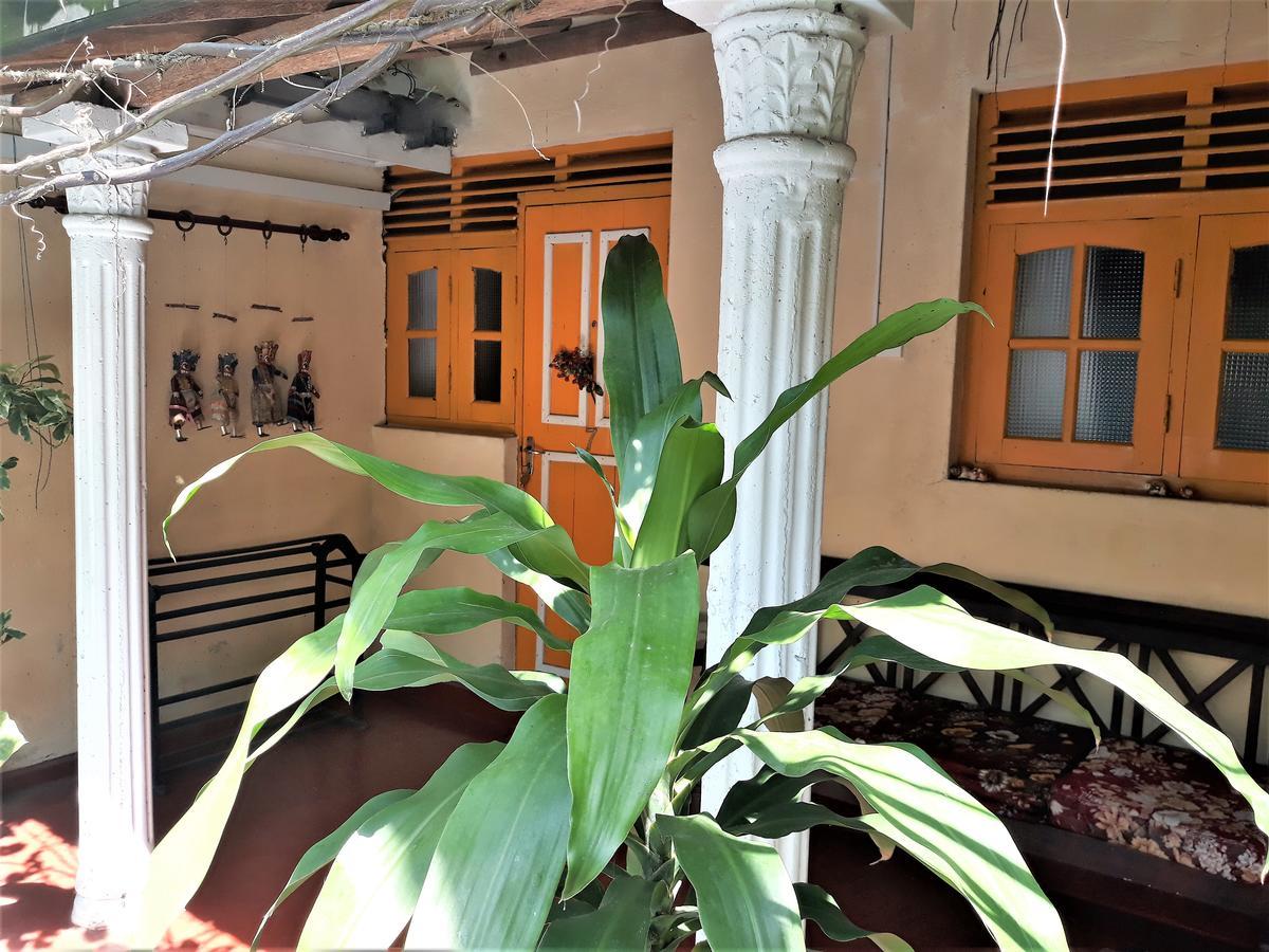 The Icebear Guesthouse Negombo Exterior foto