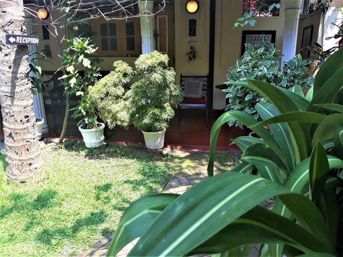 The Icebear Guesthouse Negombo Exterior foto